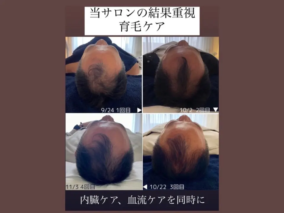 SHIFA beauty salon【シファビューティサロン】/ 真の体質改善 / つくば市